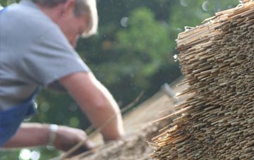 professional Ardinamir thatchers